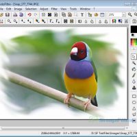 Photofiltre - Free Image Retouching Program