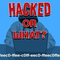 Info about c0ffeec0-ffee-c0ff-eec0-ffeec0ffeec0